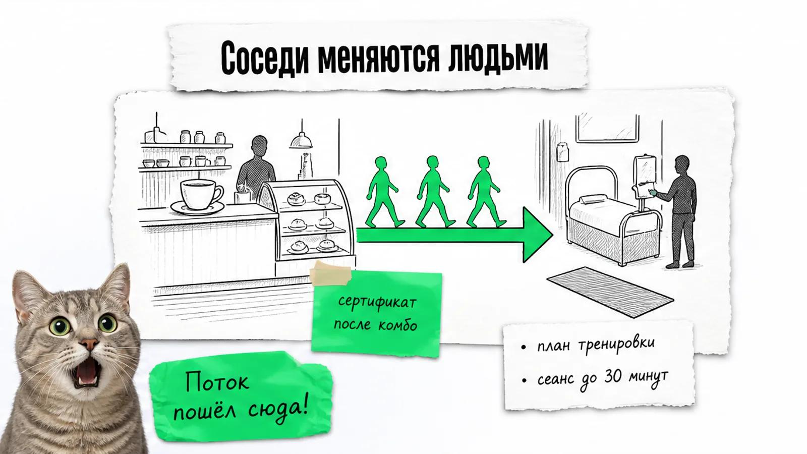Кофейня и фитнес-студия соединены зелёной стрелкой, по ней движутся силуэты посетительниц, рядом удивлённый кот.