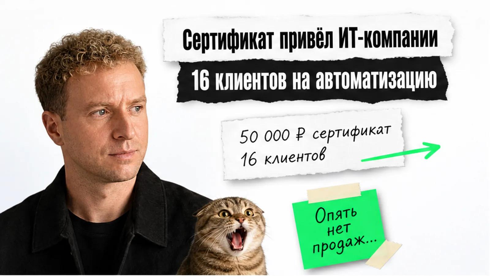 Автор статьи смотрит на заголовок о сертификате и шестнадцати клиентах, рядом кот в шоке.